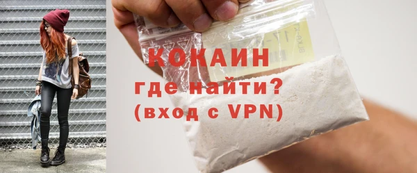 прущие грибы Ельня