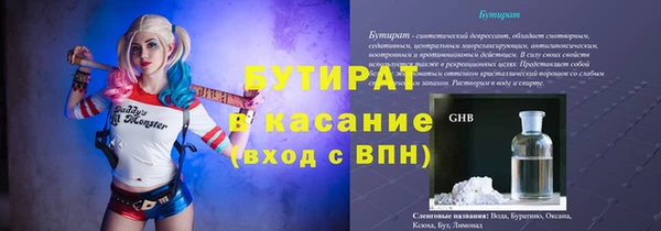 прущие грибы Ельня