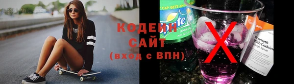 прущие грибы Ельня