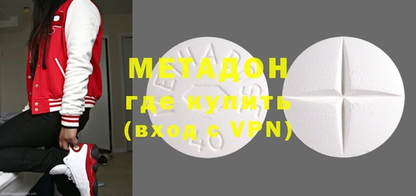 прущие грибы Ельня