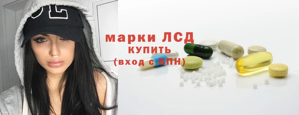 прущие грибы Ельня