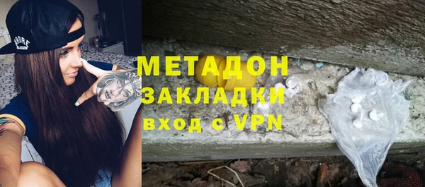 прущие грибы Ельня