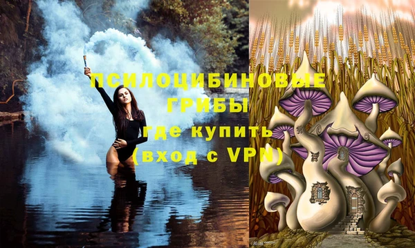 кокаин Горнозаводск