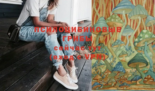 крисы Струнино
