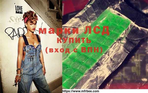 прущие грибы Ельня