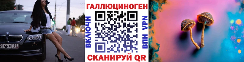 дарнет шоп  Абакан  Псилоцибиновые грибы ЛСД 